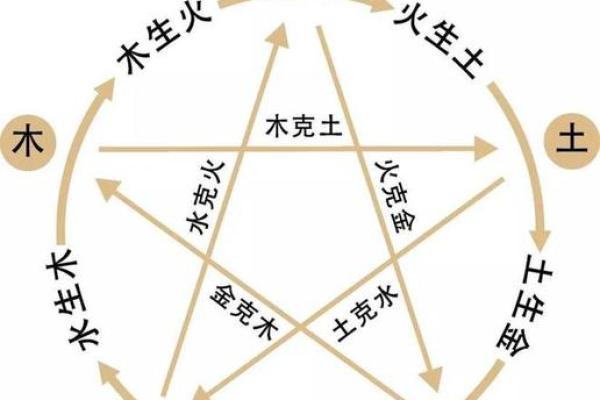 探秘五行，八卦地支图解大全
