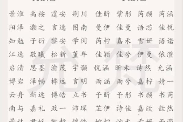 阳光宝宝名之选：寓意美好、温暖如阳的起名策略