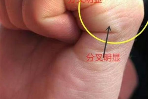 财运滚滚，富贵在手：揭秘元宝手相女性的神秘力量