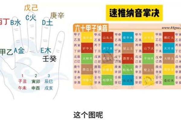 土金生辉，揭秘地支纳音五行布局技巧