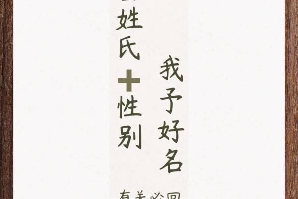 翰墨书香，2018宝宝姓氏独特美名精选