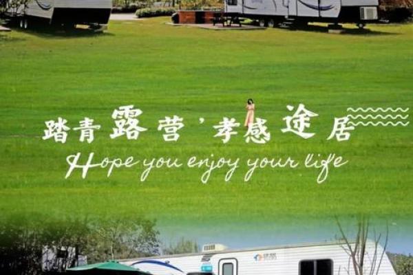 营造绿色办公空间：办公室露营风水布局攻略大公开