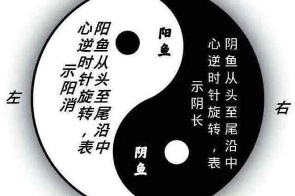 太极命理大揭秘：权威解读，破解人生密码！