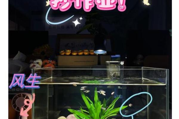 办公室风水鱼缸摆放，提升运势必备指南！