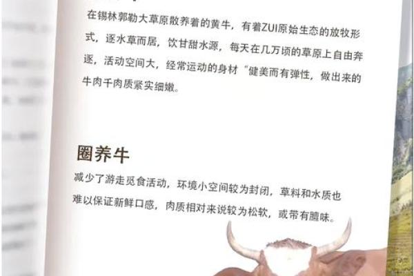 星族文化中的黄牛象征与传统价值探究