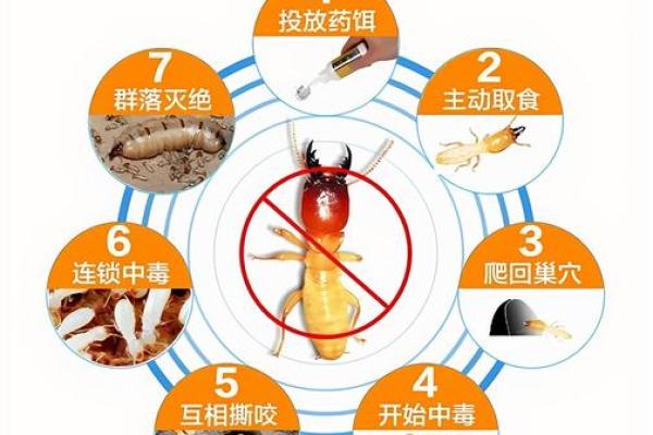 蚂蚁入侵办公室，揭秘风水布局化解法！