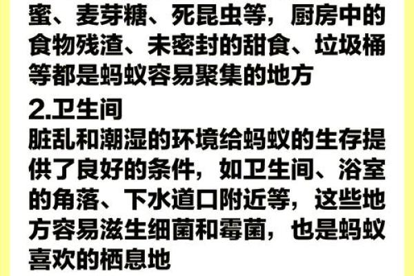 蚂蚁入侵办公室，揭秘风水布局化解法！