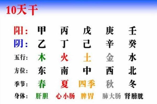 八字风水揭秘：你的生辰八字藏着人生运势密码