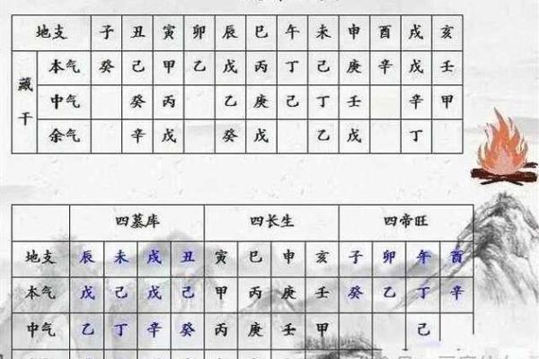 解锁地支奥秘：一招看穿地支藏干