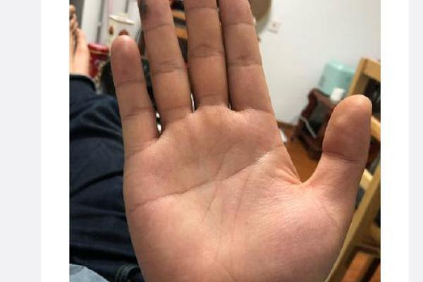 火星平原手相解读：揭秘火星人的命运轨迹