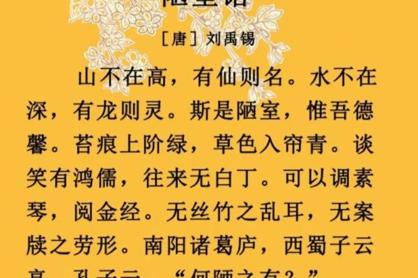 王山根：山清水秀，根深叶茂，名字中的风水奥秘解析