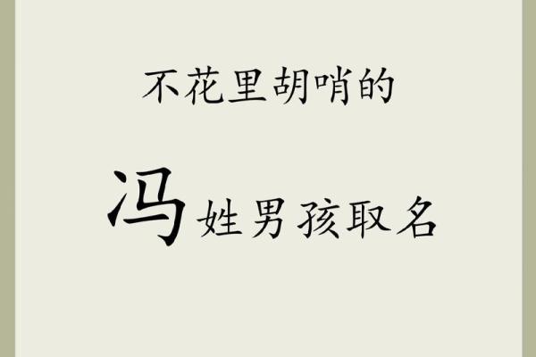 冯姓鸡宝宝：精选独特且有内涵的姓名搭配