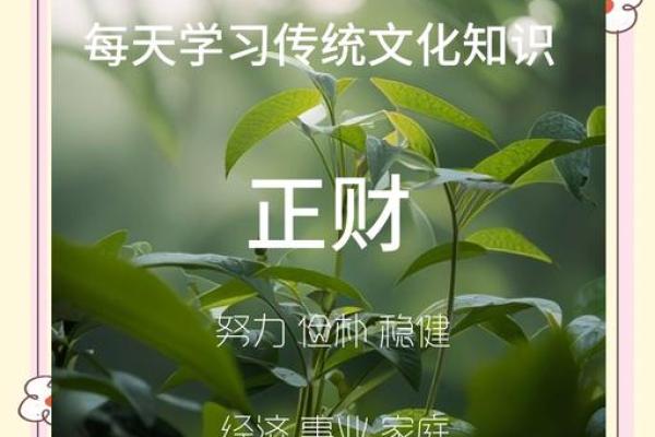 正财正官正印，三合一，成就非凡人生