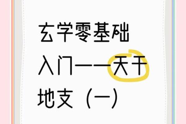 天干透地支，揭秘财富的秘密