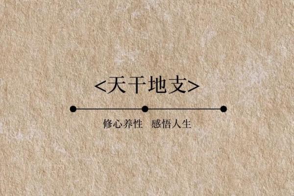 神秘罗盘：十二地支指引人生航向