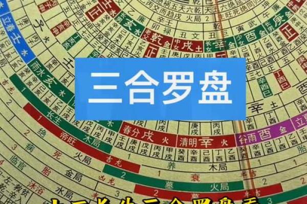 神秘罗盘：十二地支指引人生航向