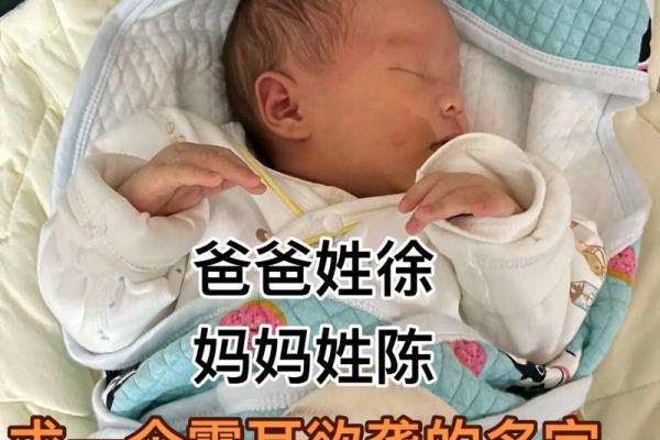 2018年徐宝宝名字推荐