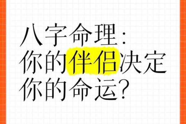 夫妻宫星耀，命运携手同行