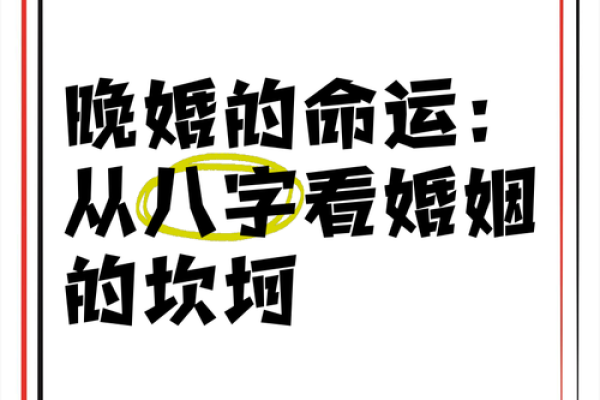 夫妻宫星耀，命运携手同行