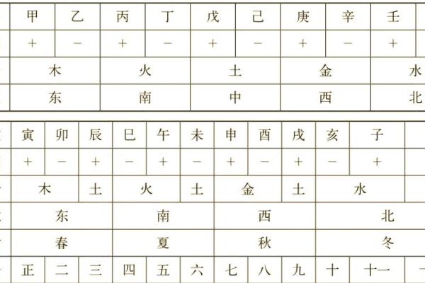 地支奥秘大揭秘，五大神秘力量全解析