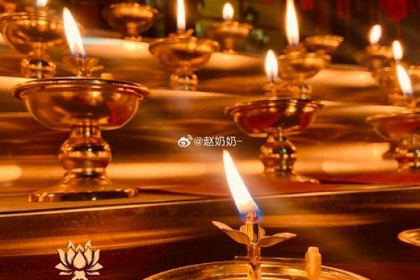 祈福安康，灯火辉煌：2016年佛教节日民俗文化展