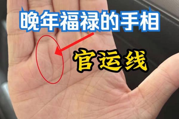 手相螺纹密码解，运势旺到让人羡