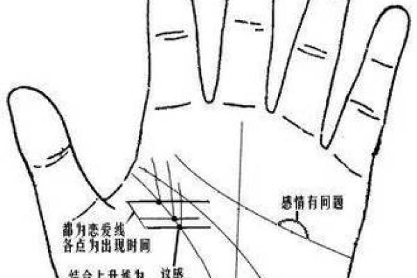 手相螺纹密码解，运势旺到让人羡