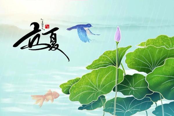 5月2日：风筝起舞，春意盎然迎立夏