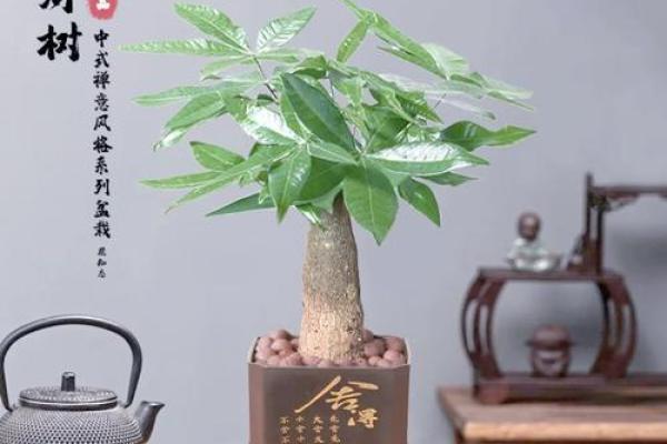 风水学视角下的工艺品摆放与选择技巧