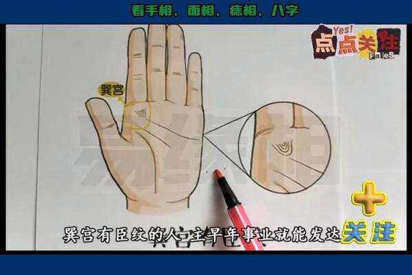 手掌密码，揭秘命运玄机