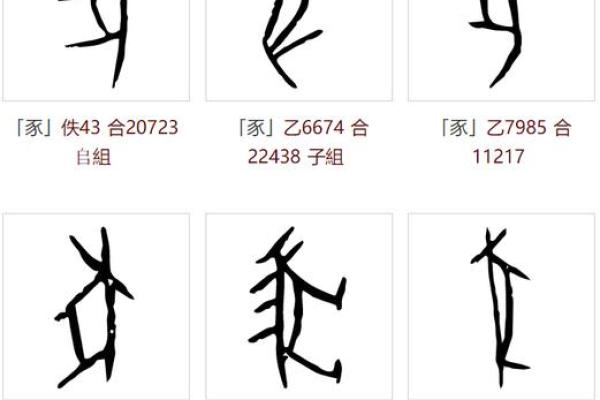 从五行角度解读柯字