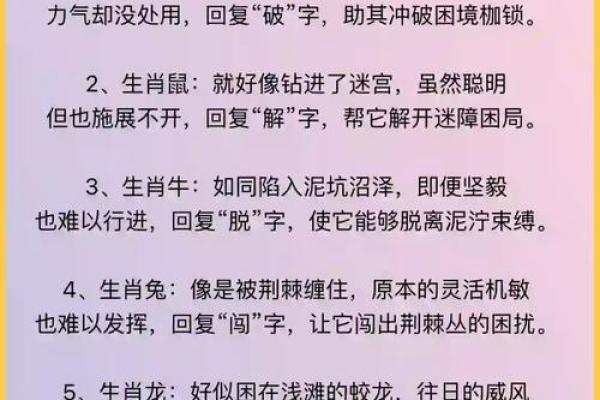 十二生肖大揭秘：地支的力量，改写你的人生轨迹