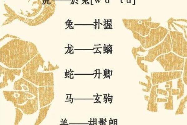 十二生肖大揭秘：地支的力量，改写你的人生轨迹