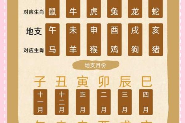 一文掌握地支十神排列技巧，助你成为命理大师