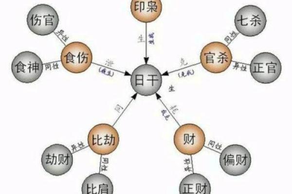 一文掌握地支十神排列技巧，助你成为命理大师