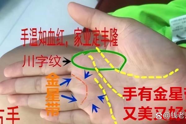 手相财运图解大公开，快速提升财运的秘密武器！