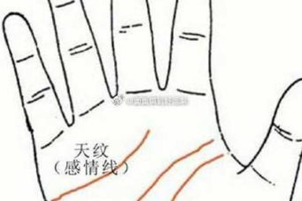手上儿女纹，命运密码大公开！