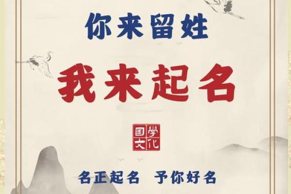 苏姓男宝宝起名宝典