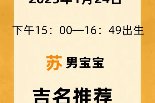 苏姓男宝宝起名宝典