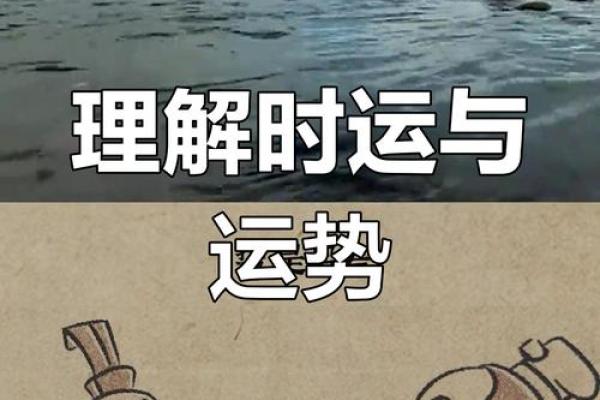 掌中运势，解锁人生奥秘