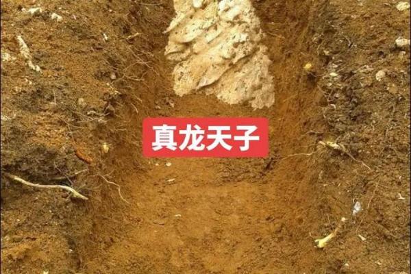 风水大师揭秘：最有效的招财宝地在哪里？