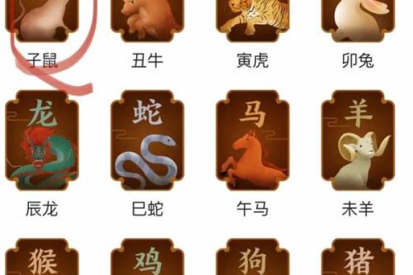 子鼠与未羊相冲，教你平稳度过运势低谷