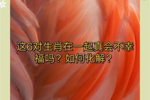 子鼠与未羊相冲，教你平稳度过运势低谷