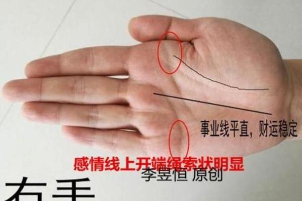 掌中星图，解码人生运势
