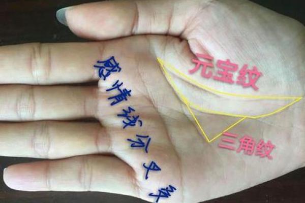 地纹在手，财运亨通：揭秘手相地纹的秘密！