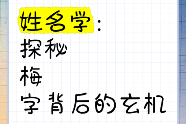 梅字的五行属性揭秘