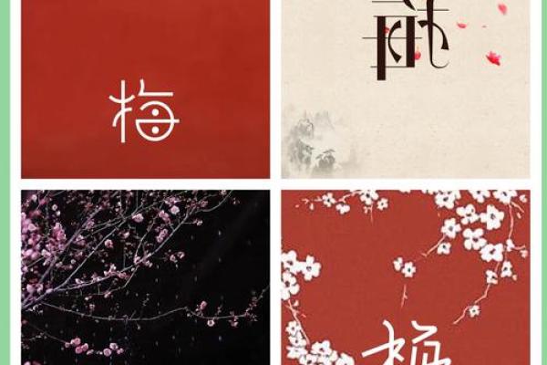 梅字的五行属性揭秘