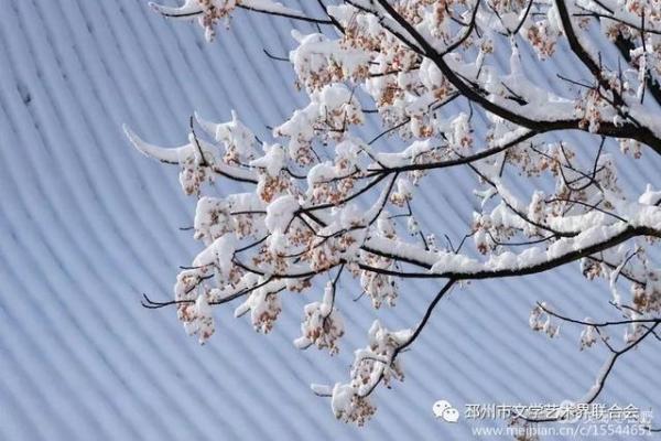 瑞雪丰年：高山特色节日庆典掠影