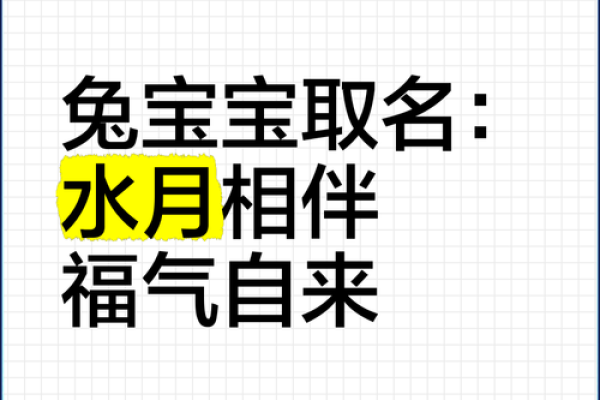 字里寻宝，宝宝好名相伴