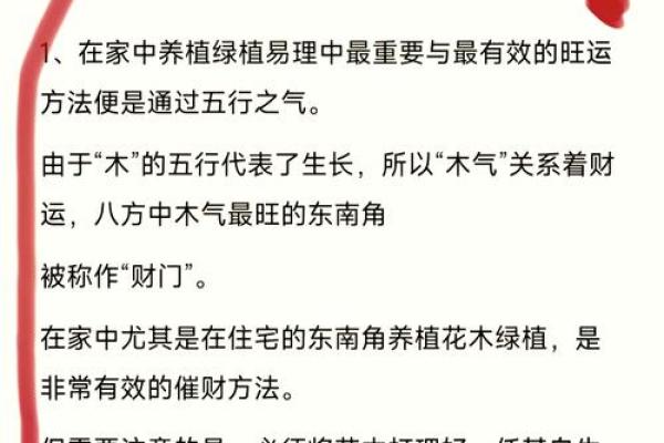 风水秘籍：招财旺店方位大揭秘